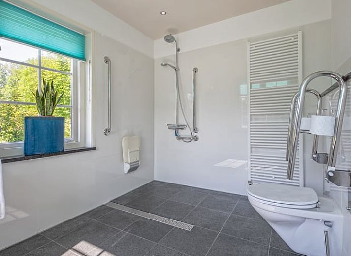 Achtertuin van Huisje in De Cocksdorp, Texel, met kleurrijke planten en uitnodigend terras.