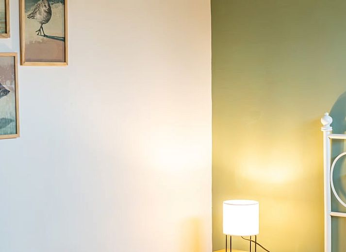 Achtertuin van Huisje in De Cocksdorp, Texel, met kleurrijke planten en uitnodigend terras.