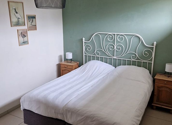 Achtertuin van Huisje in De Cocksdorp, Texel, met kleurrijke planten en uitnodigend terras.