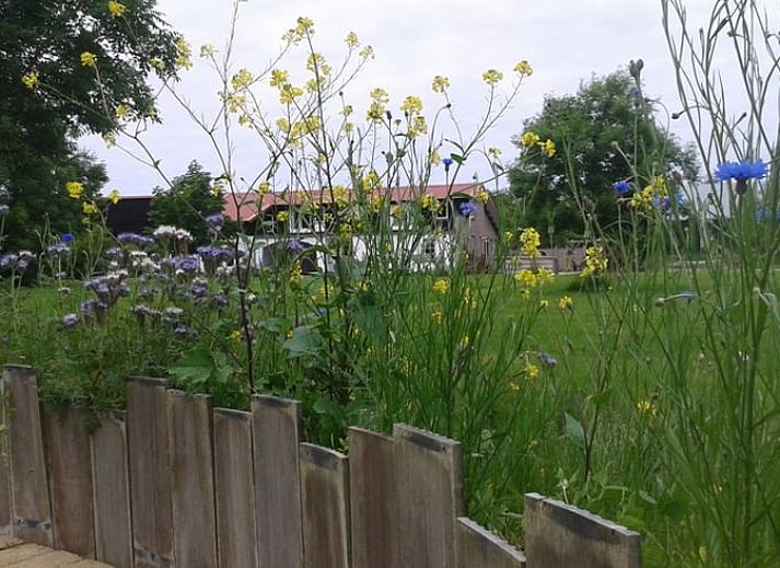 Gezellige zithoek in Huisje in De Cocksdorp, Texel, met groene muur en moderne voorzieningen.