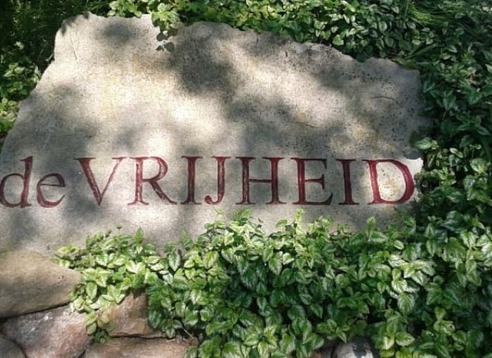 Gezellige zithoek in Huisje in De Cocksdorp, Texel, met groene muur en moderne voorzieningen.