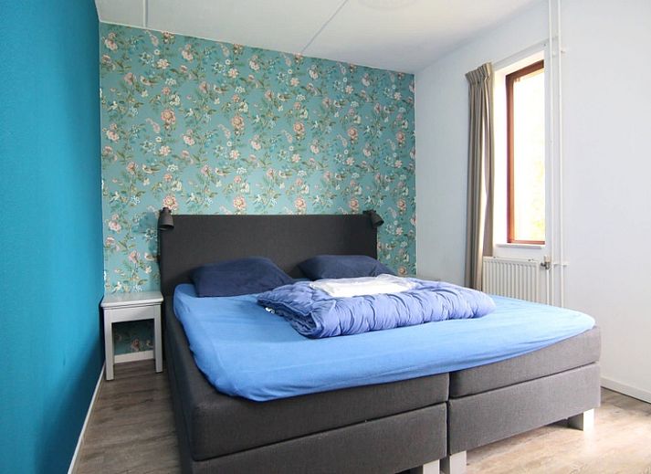 Unterkunft 0101254 - Ferienhaus Texel - Vakantiehuis D 491