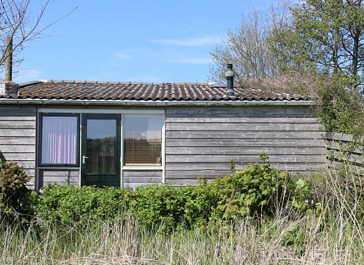 Rustikales Holzferienhaus Kikkertstraat 60 in De Cocksdorp, Texel, umgeben von gruener Natur.