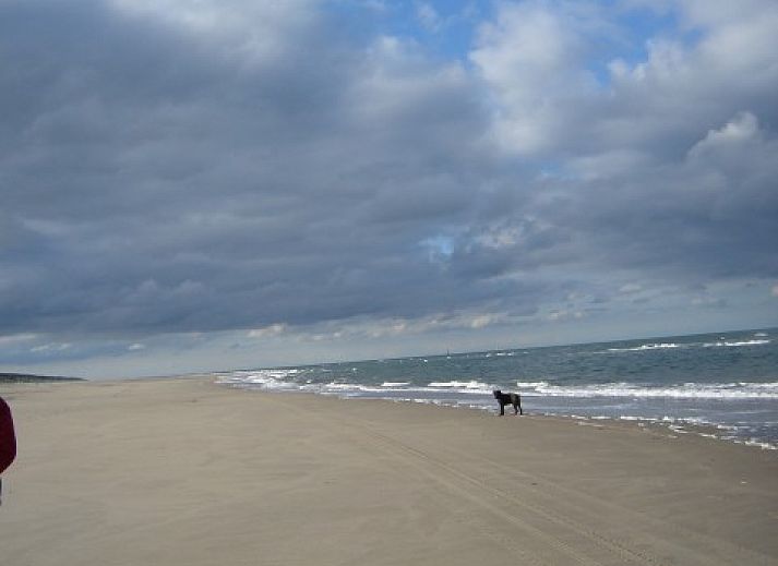 Ruime tuin bij vakantiehuis De Vlinder in De Cocksdorp, Texel, ideaal voor ontspanning en buitenactiviteiten.