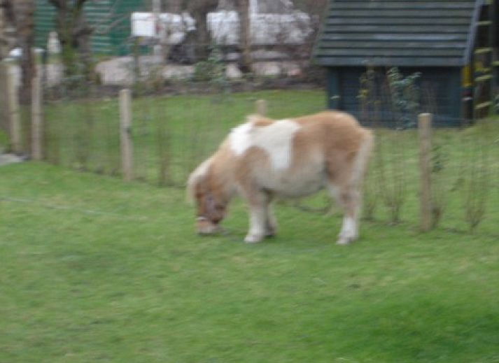 Gezellige woonkamer in De Vlinder, vakantiehuis De Cocksdorp, Texel, met comfortabele zithoek en moderne inrichting.