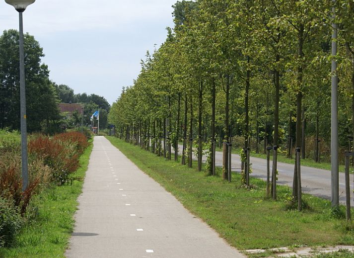 Cozy terrace at Type C Apartment de Stoeterij, De Cocksdorp, Texel, ideal for outdoor dining amid greenery.