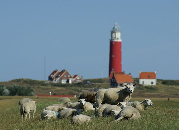 Modern dining room in Type C Apartment de Stoeterij, De Cocksdorp, Texel, with cozy sitting area and stylish decoration.