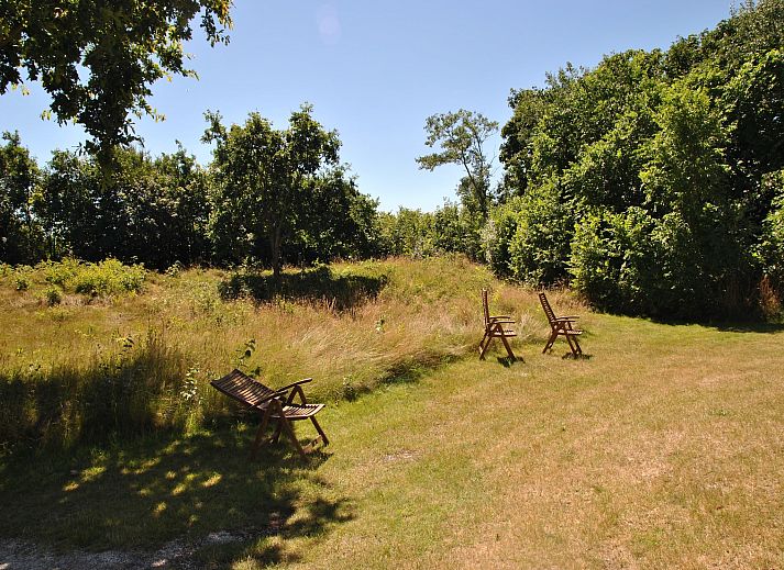 Guest house 0101314 - Holiday property Texel - De Ransuil