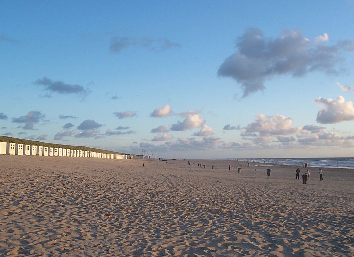 Guest house 0101314 - Holiday property Texel - De Ransuil