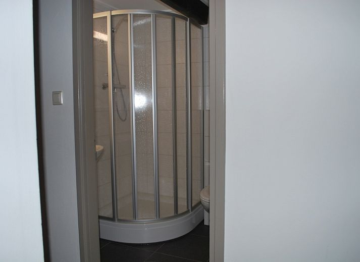 Type S-2 vakantiehuis in De Cocksdorp, Texel met rieten dak omringd door groen.