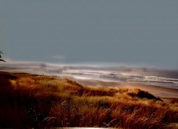 Cozy living room of Bungalow 759 Huize van Assendelft, De Cocksdorp, Texel, with modern furnishings.