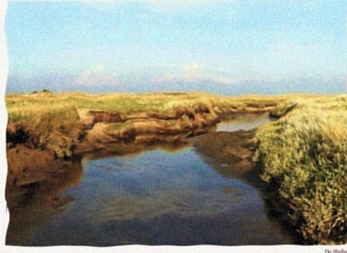 Cozy living room of Bungalow 759 Huize van Assendelft, De Cocksdorp, Texel, with modern furnishings.