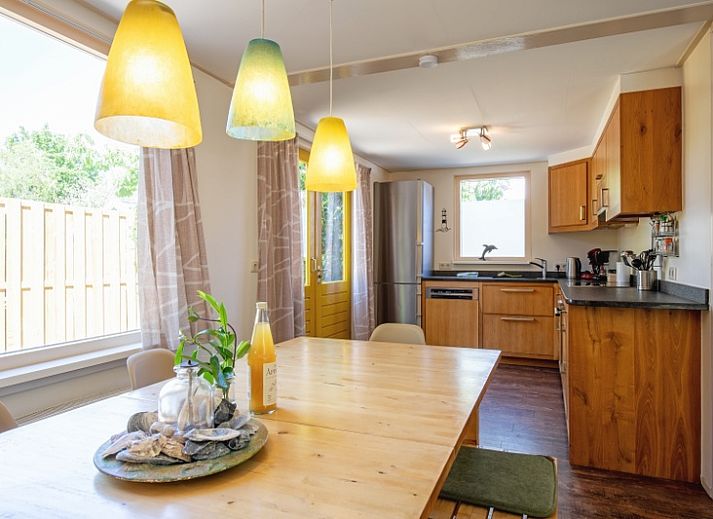 Geniessen Sie den sonnigen Garten des Ferienhauses Ganzenvlucht in De Cocksdorp, Texel, mit einer grossen Terrasse und bunten Blumen.