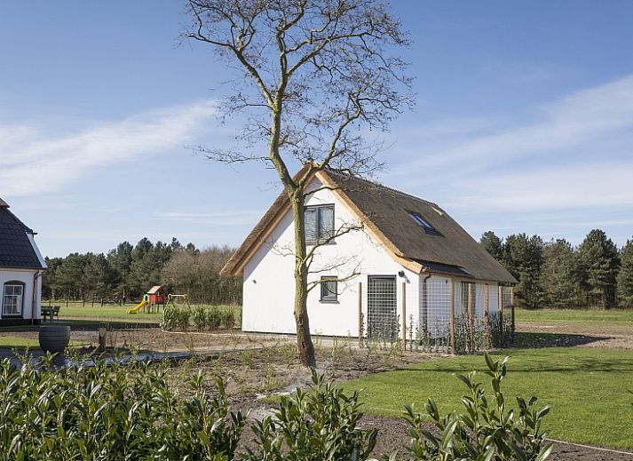 Moderne Kueche und Wohnzimmer des Landhuis Typ K, Ferienhaus in De Cocksdorp, Texel.