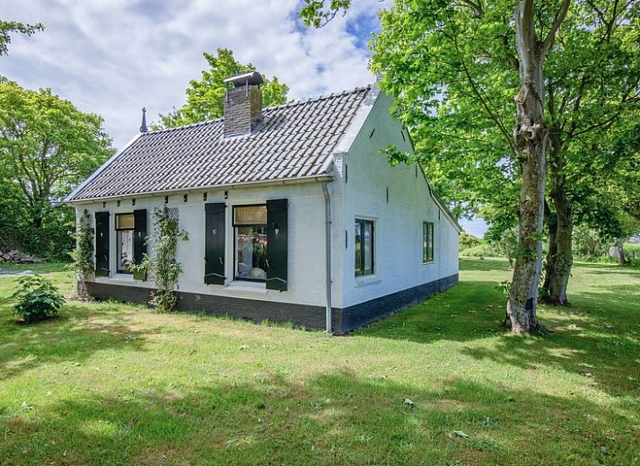 Charmantes Ferienhaus Paal 91 Texel in De Cocksdorp, umgeben von viel Gruen und Ruhe.
