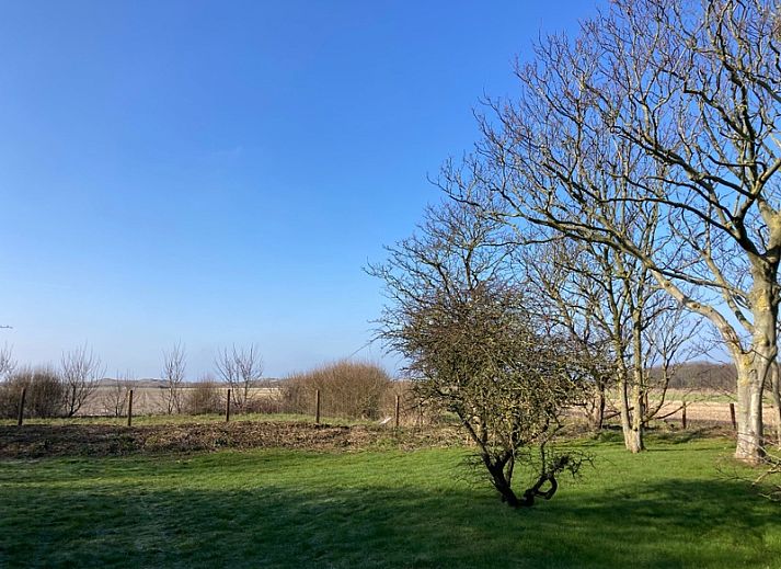 Paal 91 Texel, Ferienhaus in De Cocksdorp, mit Blick auf die weite Natur.