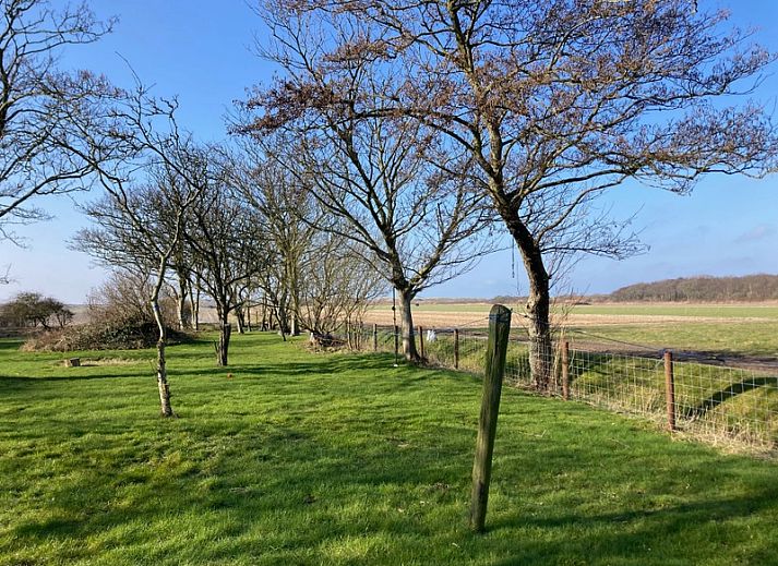 Paal 91 Texel, Ferienhaus in De Cocksdorp, mit Blick auf die weite Natur.