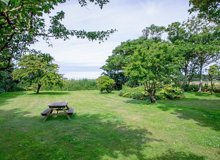 Ferienhaus Paal 91 Texel in De Cocksdorp mit sonniger Terrasse und gruener Umgebung.