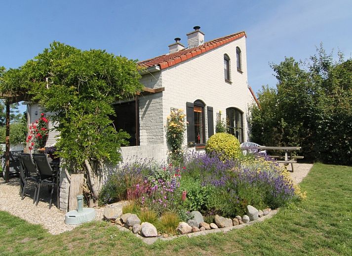 Guest house 0101416 - Holiday property Texel - Roggeslootweg 577