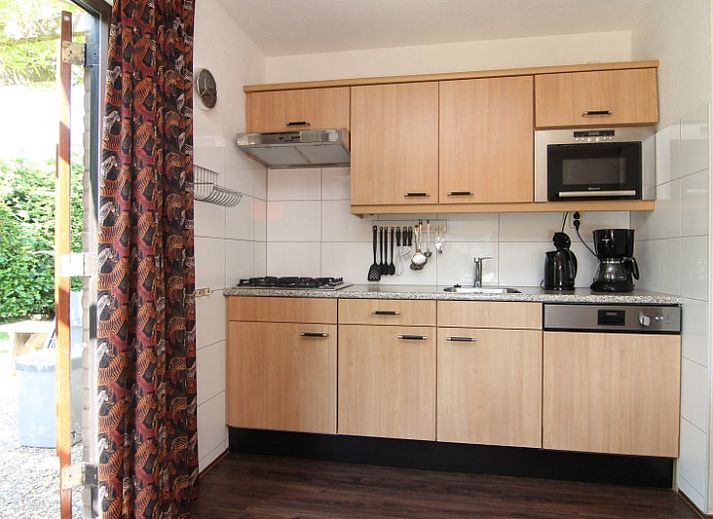 Guest house 0101416 - Holiday property Texel - Roggeslootweg 577