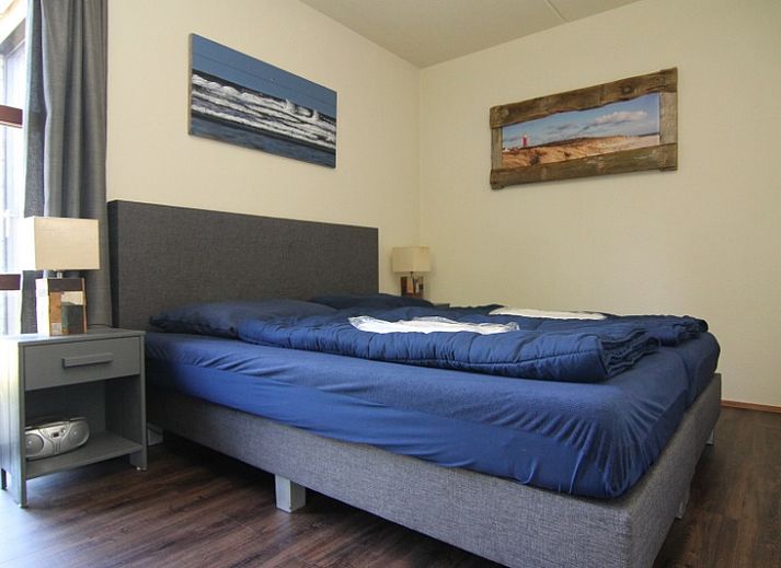 Guest house 0101416 - Holiday property Texel - Roggeslootweg 577