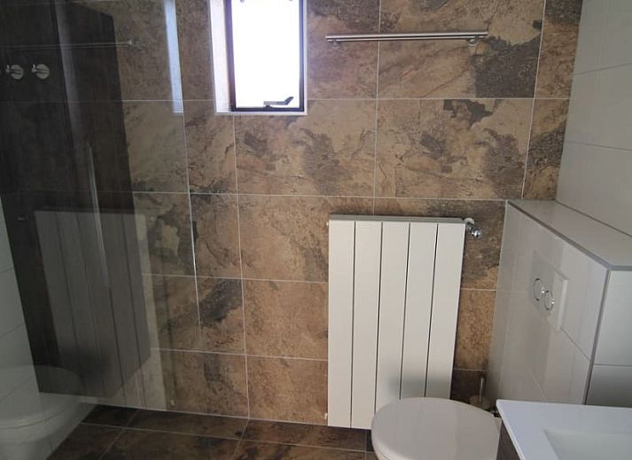 Guest house 0101416 - Holiday property Texel - Roggeslootweg 577