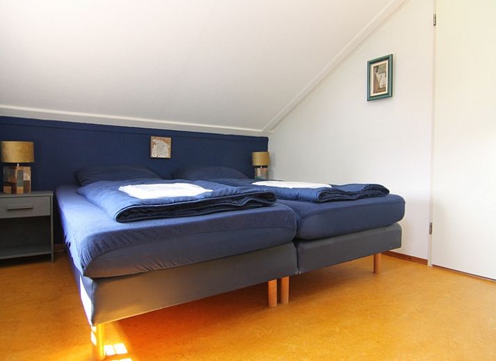 Guest house 0101416 - Holiday property Texel - Roggeslootweg 577