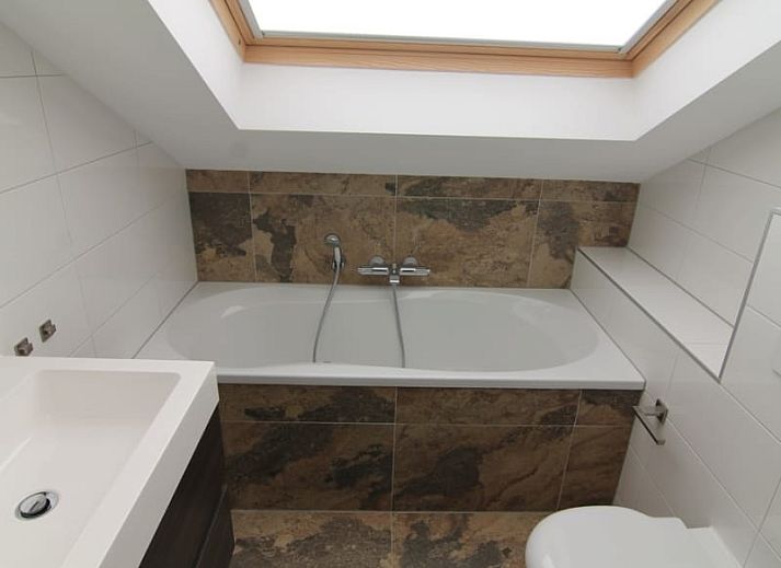 Guest house 0101416 - Holiday property Texel - Roggeslootweg 577