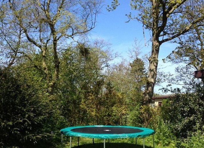 Gemuetliche Sitzecke im Bungalowpark Slufteroord, De Cocksdorp Texel, mit bequemem Sofa und Blick auf den gruenen Garten.