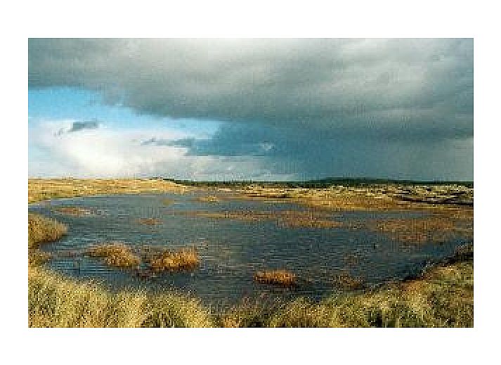 Bungalow rental from Assendelft, Texel amid green nature in De Cocksdorp.