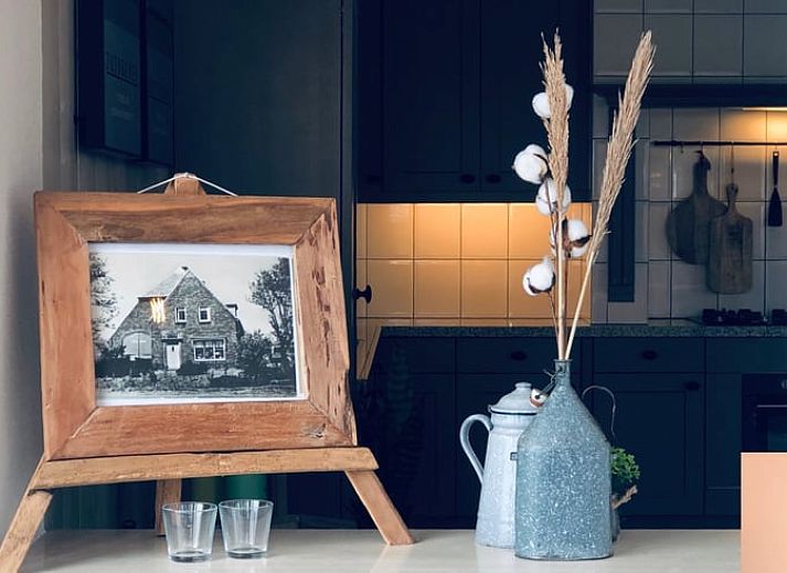 Hinterer Garten und Terrasse des Ferienhauses in De Cocksdorp, Texel, mit grossen Rasenflaechen.