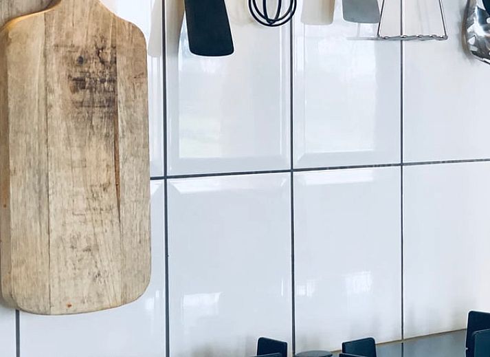 Luftaufnahme des Ferienhauses in De Cocksdorp, Texel, umgeben von ueppigem Gruen.