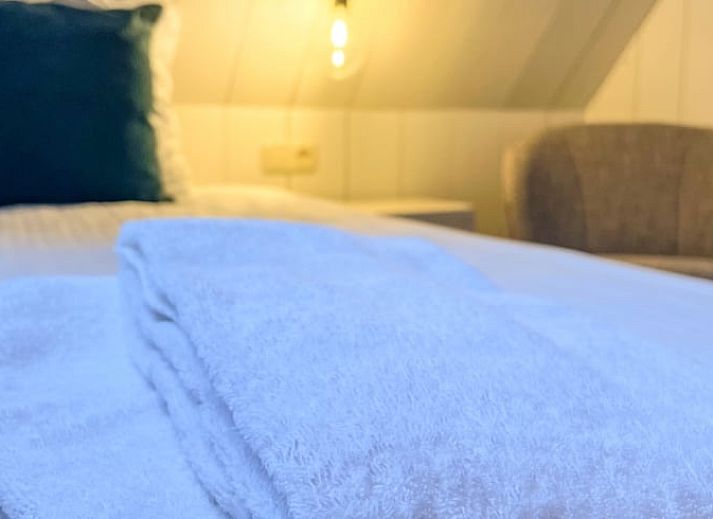 Luftaufnahme des Ferienhauses in De Cocksdorp, Texel, umgeben von ueppigem Gruen.