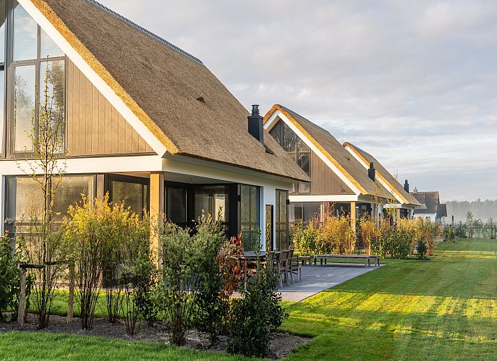 Guest house 0101434 - Holiday property Texel - Buytenveldt H4
