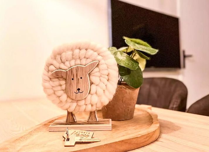 Luchtfoto van Huisje in De Cocksdorp, vakantieaccommodatie op Texel, omgeven door groene velden en natuur.