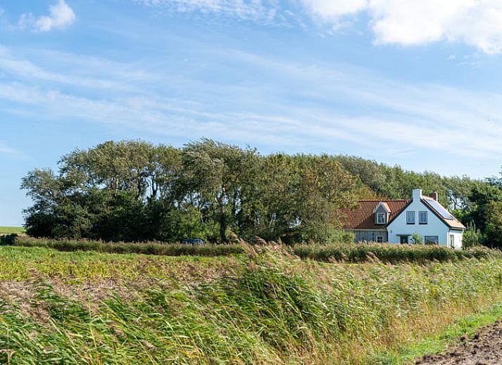 Gemuetliches Schlafzimmer im Ferienhaus in De Cocksdorp, Texel, mit Holzinterieur und bequemen Betten.