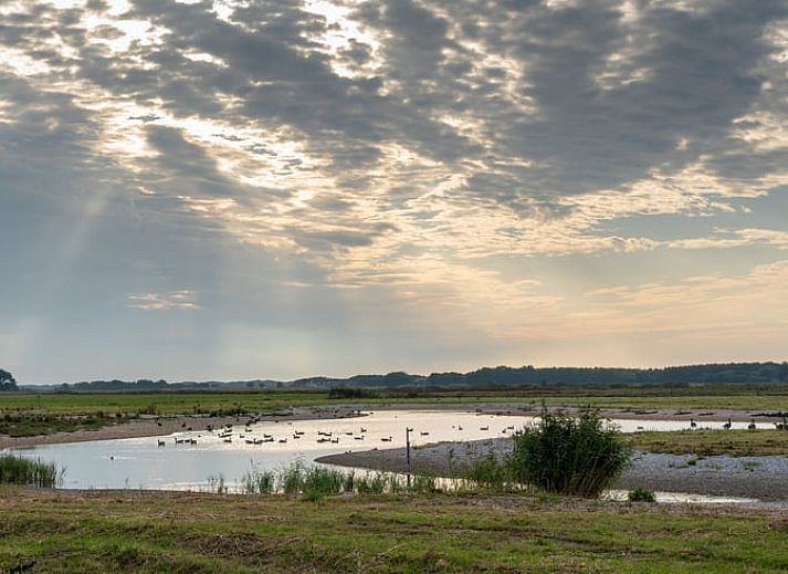 Modernes Badezimmer im Ferienhaus in De Cocksdorp, Texel, mit geraeumiger Dusche und stilvollem Waschbecken.