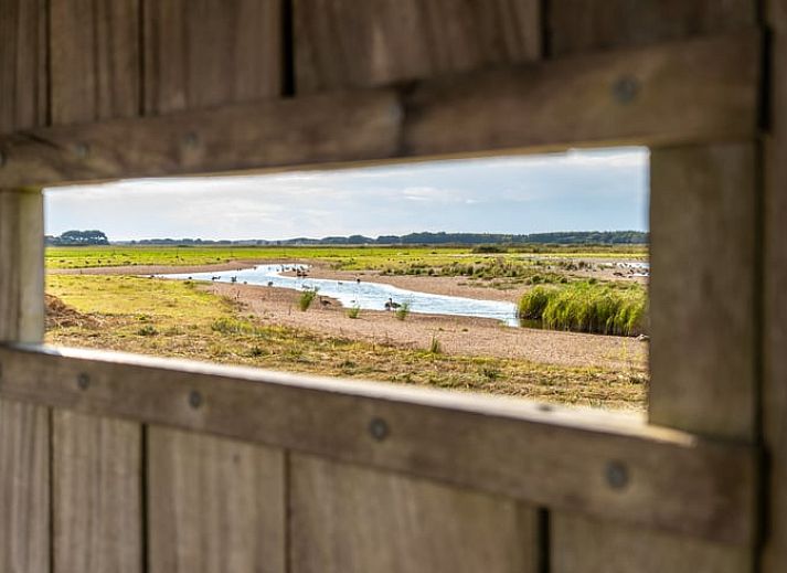 Frische Handtuecher im Ferienhaus in De Cocksdorp, Texel, bieten Komfort und Luxus waehrend Ihres Aufenthalts.
