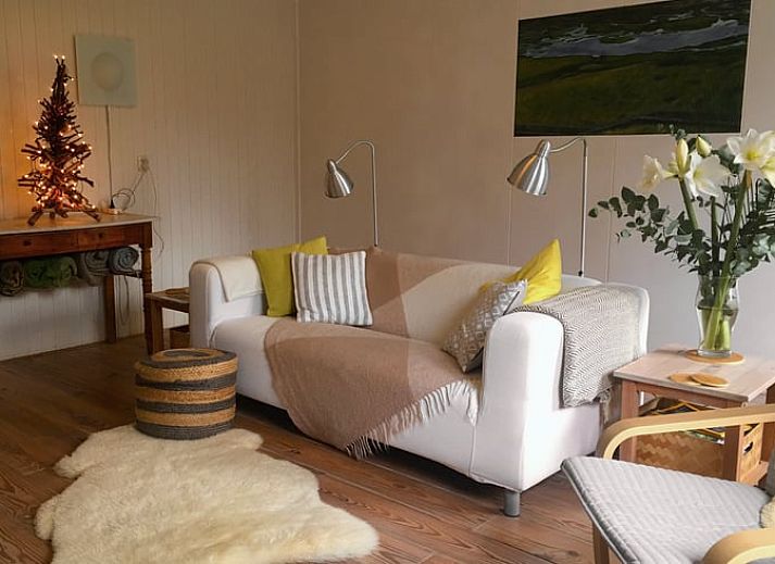 Aerial view of Cottage in De Cocksdorp, vacation home on Texel with vast fields and nature.