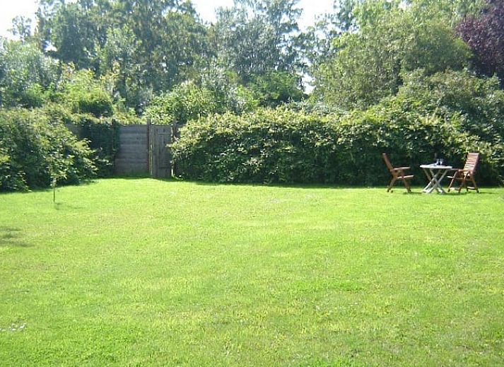Cozy terrace at Cottage in De Cocksdorp, Texel, surrounded by greenery and tranquility.