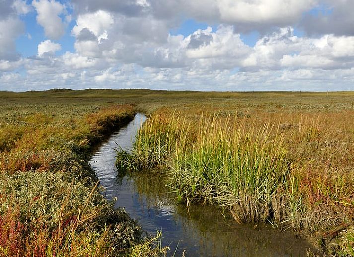 Bright living room in Cottage in De Cocksdorp, Texel, with comfortable chairs and natural light.