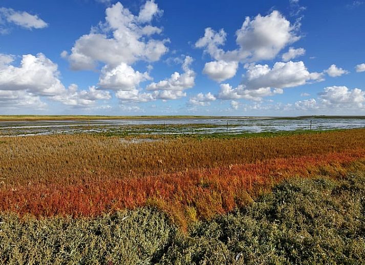 Bright living room in Cottage in De Cocksdorp, Texel, with comfortable chairs and natural light.
