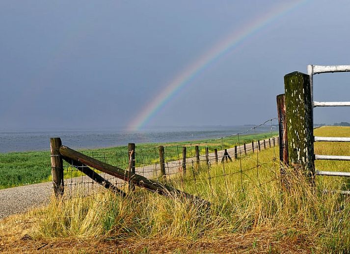Bright living room in Cottage in De Cocksdorp, Texel, with comfortable chairs and natural light.