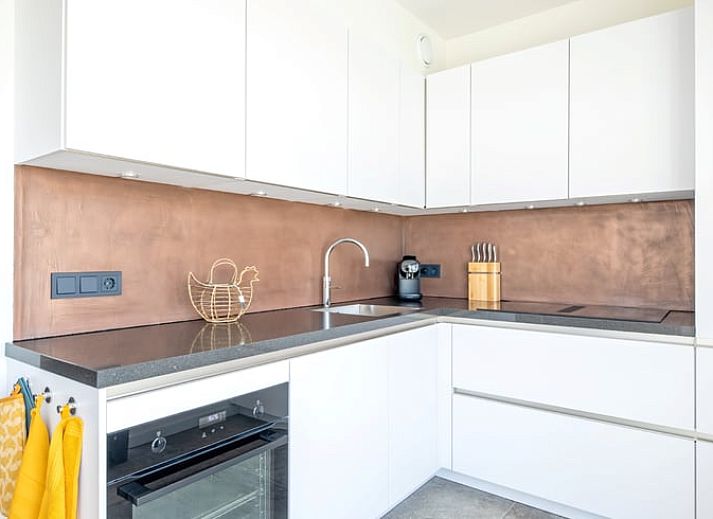 Ferienhaus in De Cocksdorp auf Texel mit grossem Garten und moderner Architektur, ideal fuer Entspannung auf den Watteninseln.