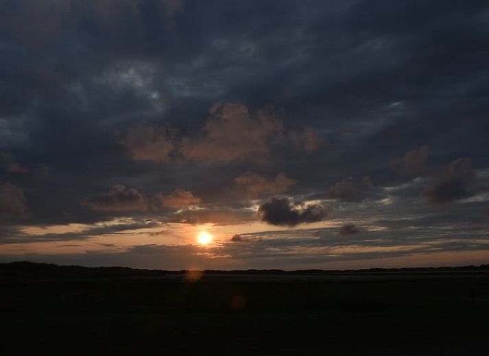 Bunte Blumenwiese in der Naehe des Ferienhauses in De Cocksdorp, Texel, ideal fuer Naturliebhaber auf den Watteninseln.