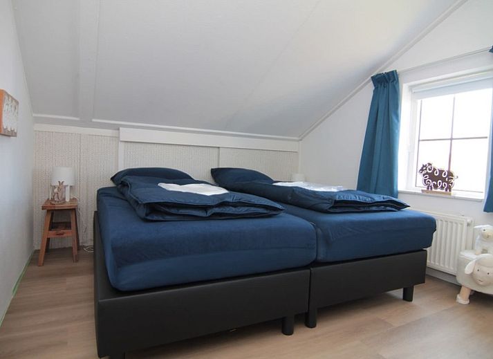 Guest house 0101517 - Holiday property Texel - Vakantiehuis D 437