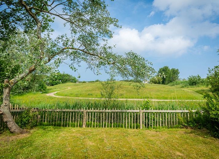 Unterkunft 0101525 - Ferienhaus Texel - Vakantiehuis D 473