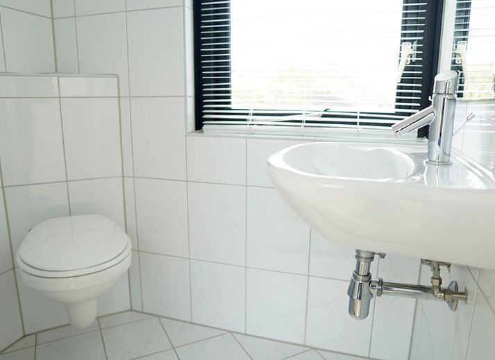 Unterkunft 0101527 - Ferienhaus Texel - Vakantiehuis B 261