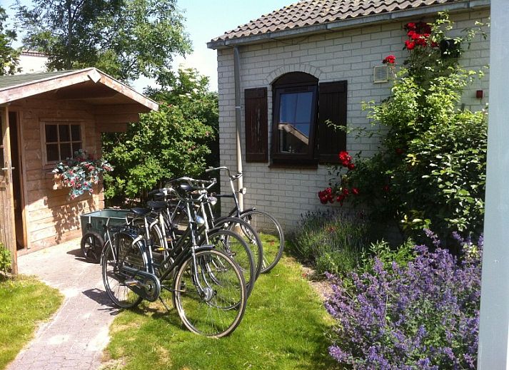 Guest house 010153 - Bungalow Texel - Heerlijk vakantiehuis