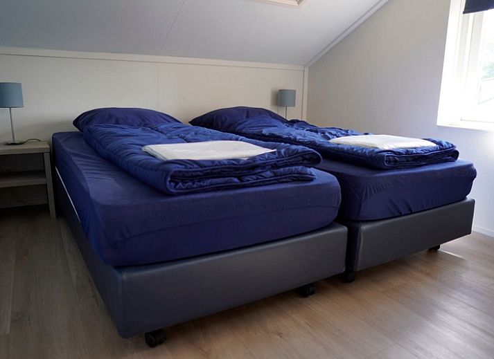 Unterkunft 0101545 - Ferienhaus Texel - Vakantiehuis D 770